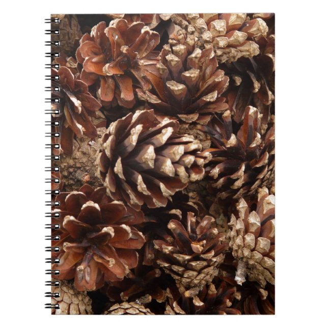 Gräs Cones bärbara dator Anteckningsbok Med Spiral (Framsidan)