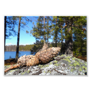 Gräs Cones Fototryck