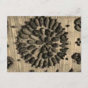 Gräs Cones mandala retro-vykort Vykort