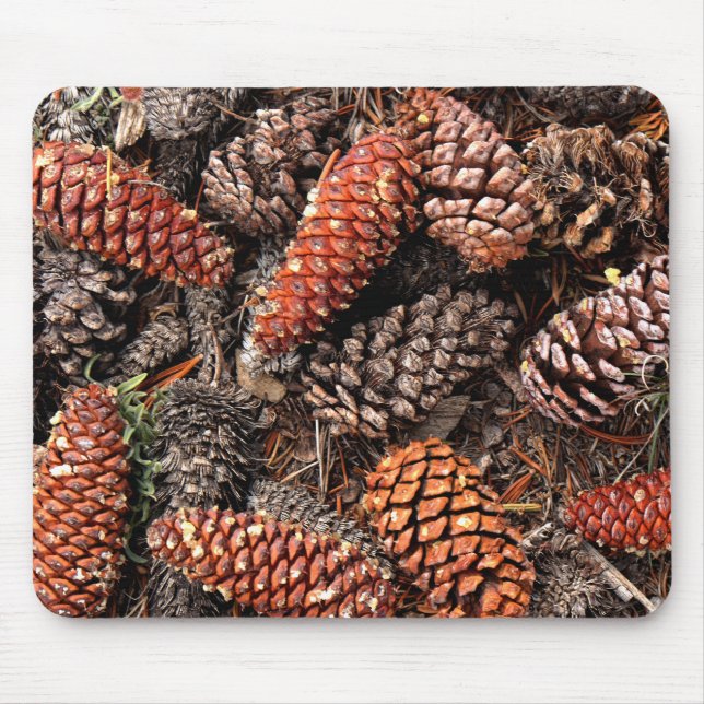 Gräs Cones Musmatta (Framsidan)