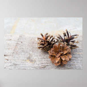 Gräs cones poster