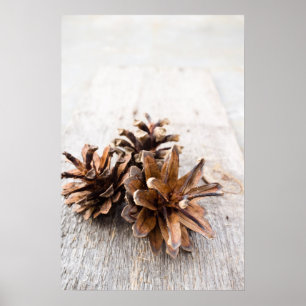 Gräs cones poster