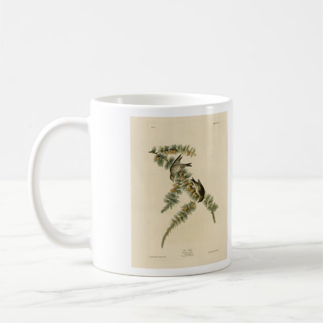 Gräs Finch (Gräs Siskin), Audubon Birds of America Kaffemugg (Vänster)