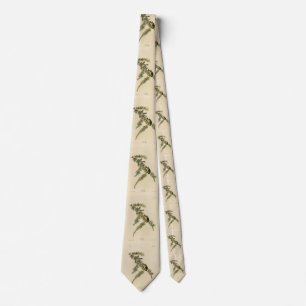 Gräs Finch (Gräs Siskin), Audubon Birds of America Slips