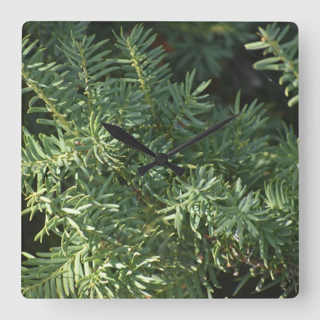 Gräs Forest Fyrkantig Klocka (Framsida)