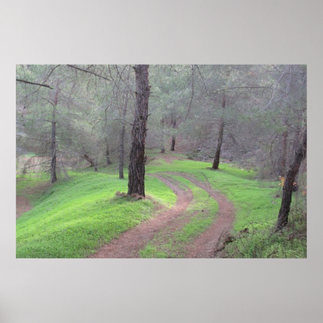 Gräs Forest Road Poster (Framsidan)