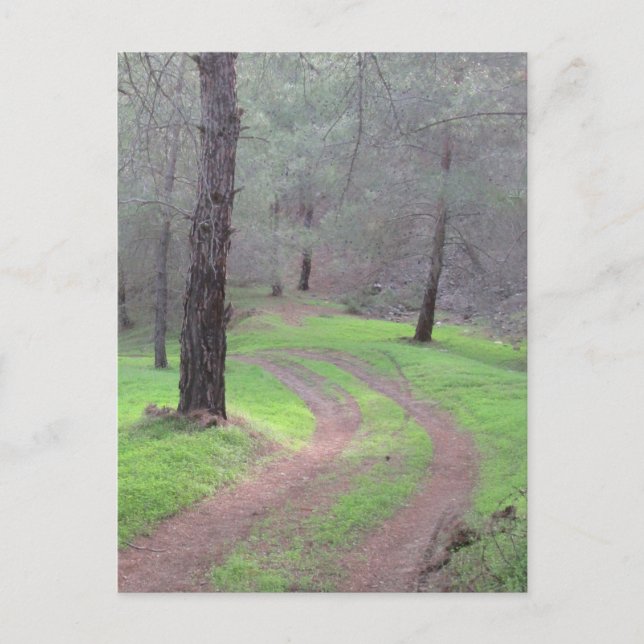 Gräs Forest Road Vykort (Framsida)