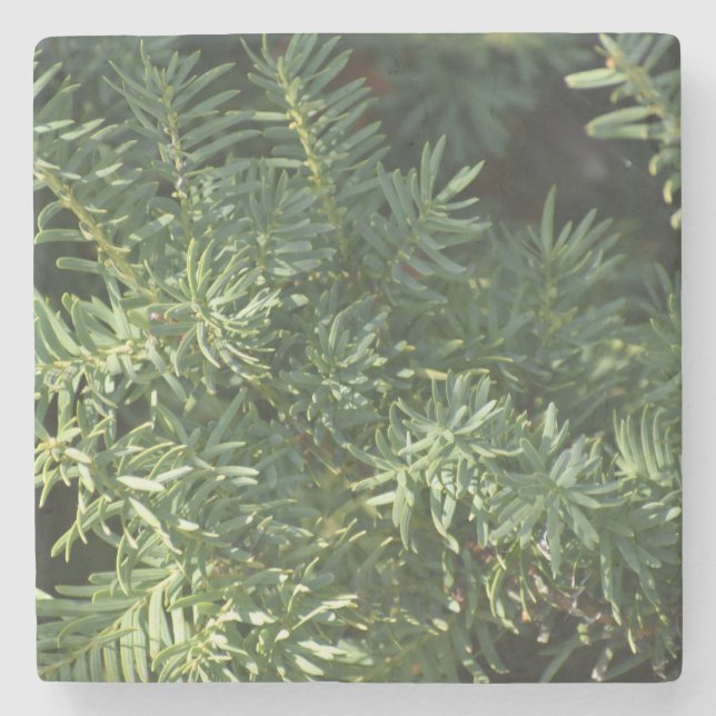 Gräs Forest Stenunderlägg (Framsidan)