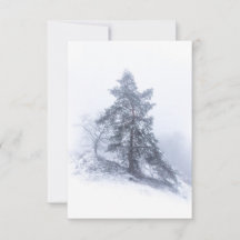 Gräs-fotokort med Snö-täckt Träd