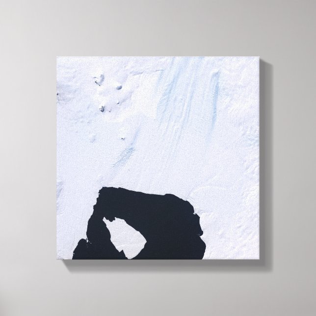 Gräs Glacier Canvastryck (Framsida)