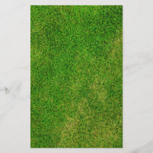 Gras Gräsmatta Brevpapper