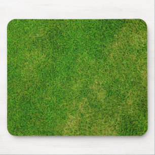 Gras Gräsmatta Musmatta