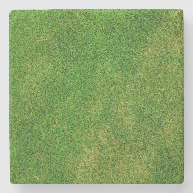 Gras Gräsmatta Stenunderlägg (Framsidan)