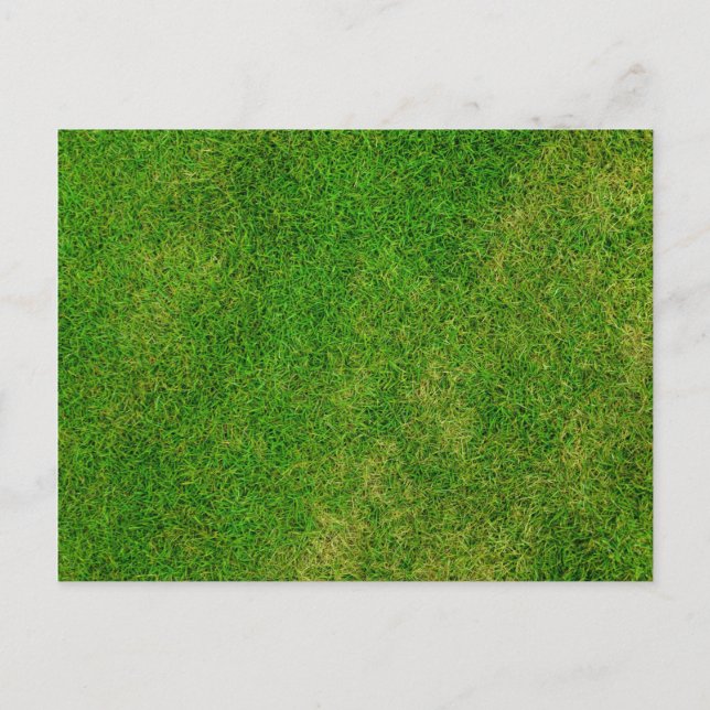 Gras Gräsmatta Vykort (Framsida)