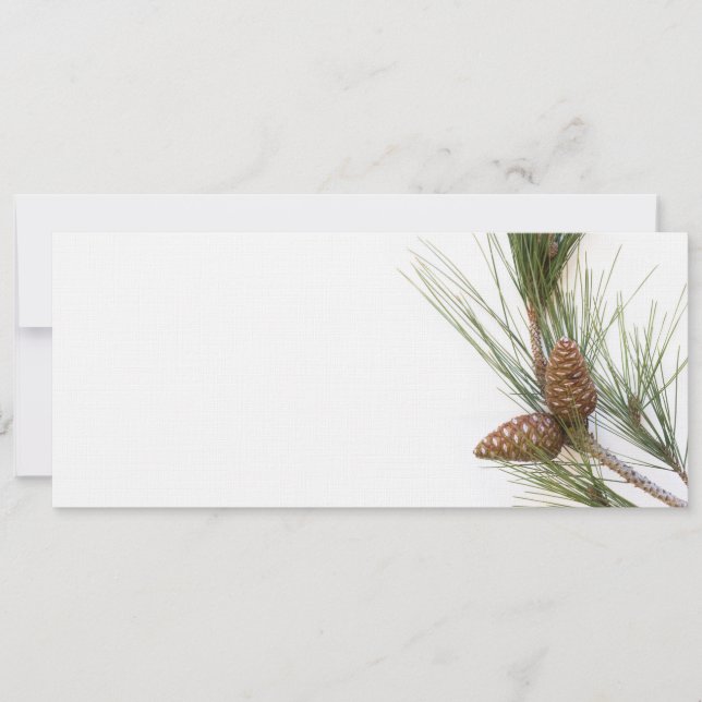 Gräs gren och koner (Framsida)