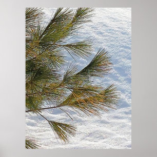 Gräs Grenar och Snö i Ottawa. Köp nu Poster