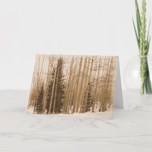 Gräs i kombinationskortet - tomt invändigt hälsnin kort (Framsida)