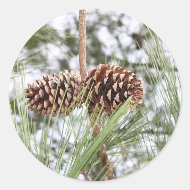 Gräs klistermärken (Framsida)