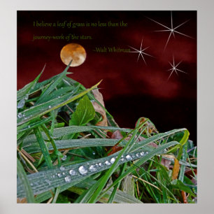 "Gras", konst Poster med Walt Whitman Quote