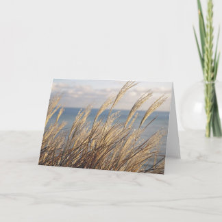 Gräs Kort