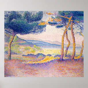 Gräs längs Shore Poster