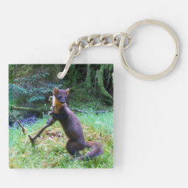 Gräs Marten