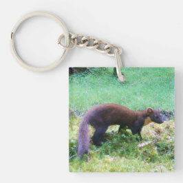 Gräs Marten