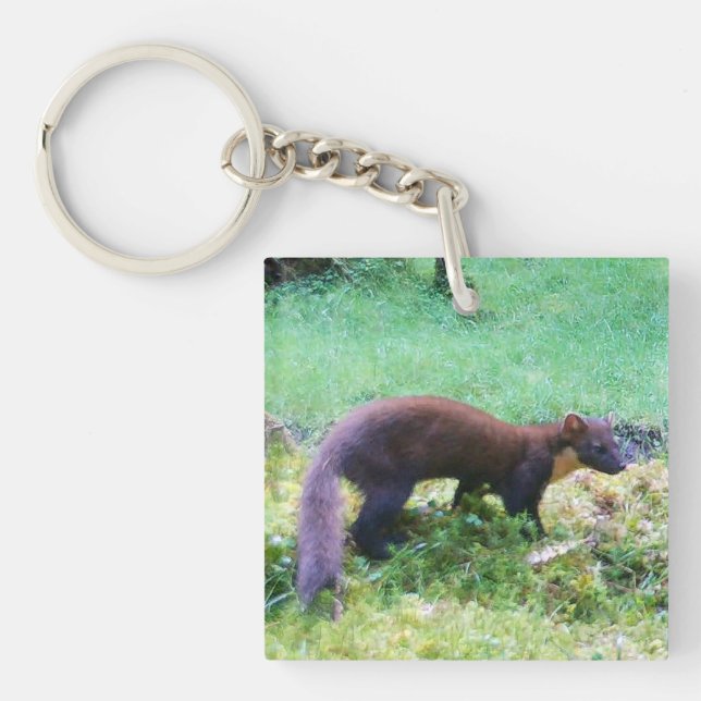 Gräs Marten (Framsidan)