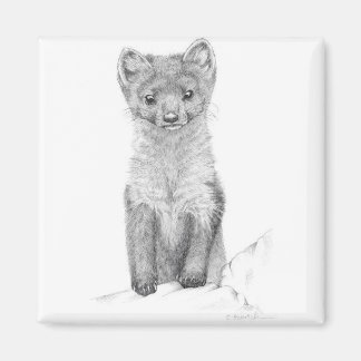 gräs marten magnet