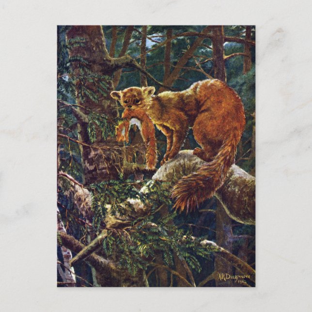 Gräs Marten med Be Vykort (Framsida)