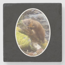 Gräs Marten på Underlägg av markeringsstenen i log