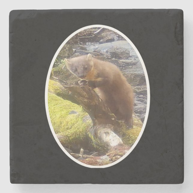 Gräs Marten på Underlägg av markeringsstenen i log (Framsidan)