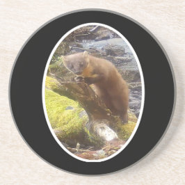 Gräs Marten Underlägg om sandsten i sandsten