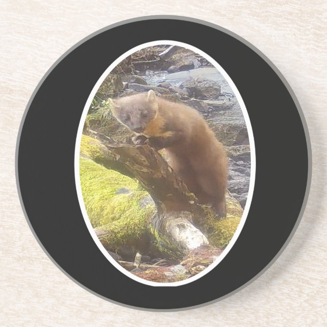 Gräs Marten Underlägg om sandsten i sandsten (Framsidan)