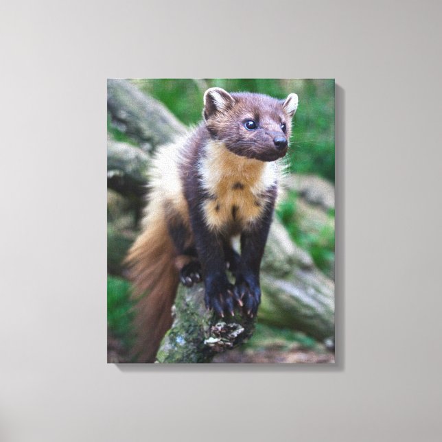 Gräs Marten Wrapped Canvas (Framsida)