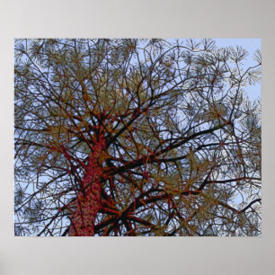 Gräs med Red Trunk (detalj) Poster