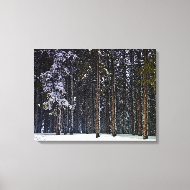 gräs med snö-Cypern Canvastryck (Framsida)