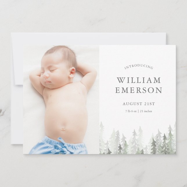 Gräs-meddelande om skogsfåglar meddelande (Framsida)