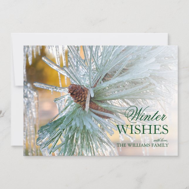 Gräs nål censurerat i is (Framsida)