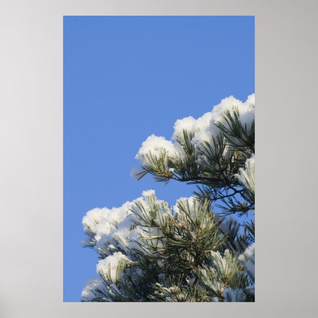 Gräs nål poster (Framsidan)
