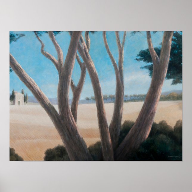 Gräs nära Pienza 2012 Poster (Framsidan)