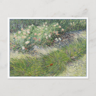 Gras och Butterflies av van Gogh Vykort