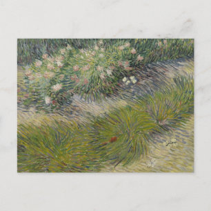 Gräs och fjärilar av Vincent van Gogh Vykort