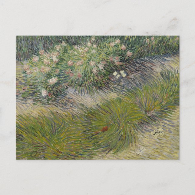 Gräs och fjärilar av Vincent van Gogh Vykort (Framsida)