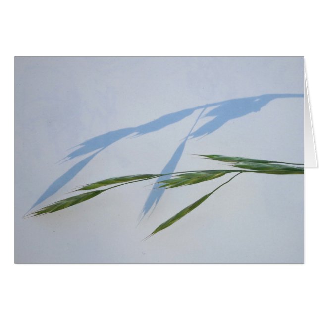 Gräs och skugga hälsningskort (Framsidan Horizontal)