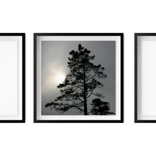 Gräs Silhouette Cloudy Sol Fotography Poster