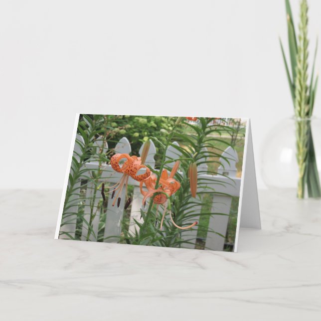 Gräs Sjö Lilies Kort (Framsida)