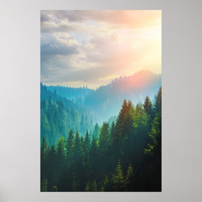 Gräs-skogen i Dolomiterna, Italien Poster (Framsidan)