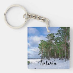 Gräs-skogen nära havsområdet kusten i Lettland