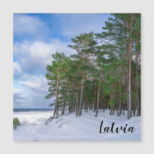 Gräs-skogen nära havsområdet kusten i Lettland